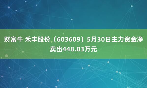 财富牛 禾丰股份（603609）5月30日主力资金净卖出448.03万元