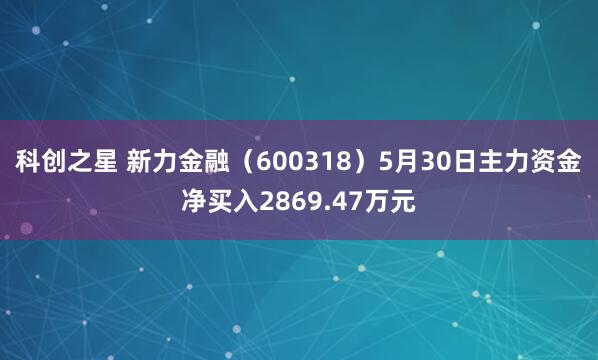 科创之星 新力金融（600318）5月30日主力资金净买入2869.47万元