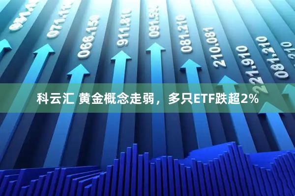 科云汇 黄金概念走弱，多只ETF跌超2%