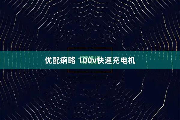 优配痢略 100v快速充电机